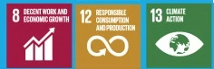 Unicef SDG